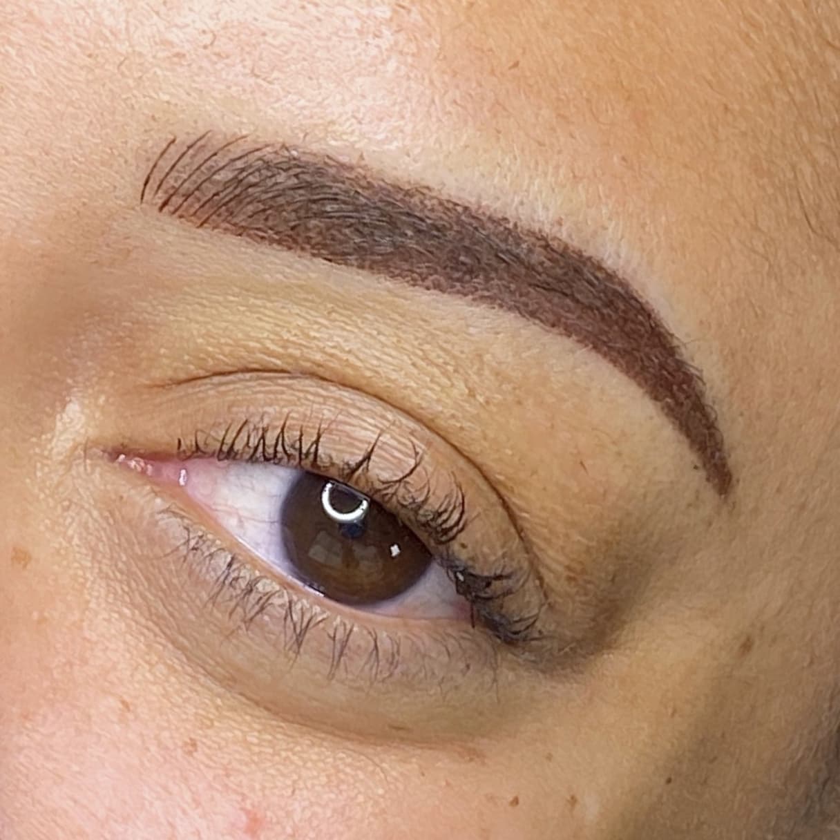 Hoshi Studio brow technique result 4